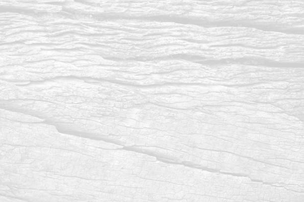 White wood texture. Abstract wood background, beautiful patterns, space for work, banner, advertise, slide, copy space, horizontal, close up.