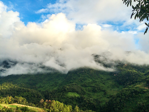 Cloud Forest with Rainbow on The Top Of it. Mountain Hill Forest on Autumn. Mountain landscape with rainbow. mountains covered with lush green forests and clouds