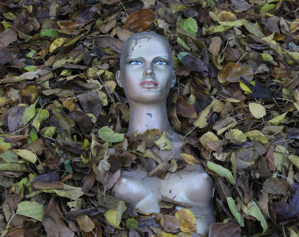 old mannequin in autumn leaves