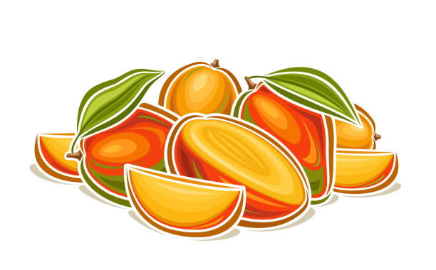 ilustraciones, imágenes clip art, dibujos animados e iconos de stock de logotipo vectorial para mango - white background stack heap food and drink