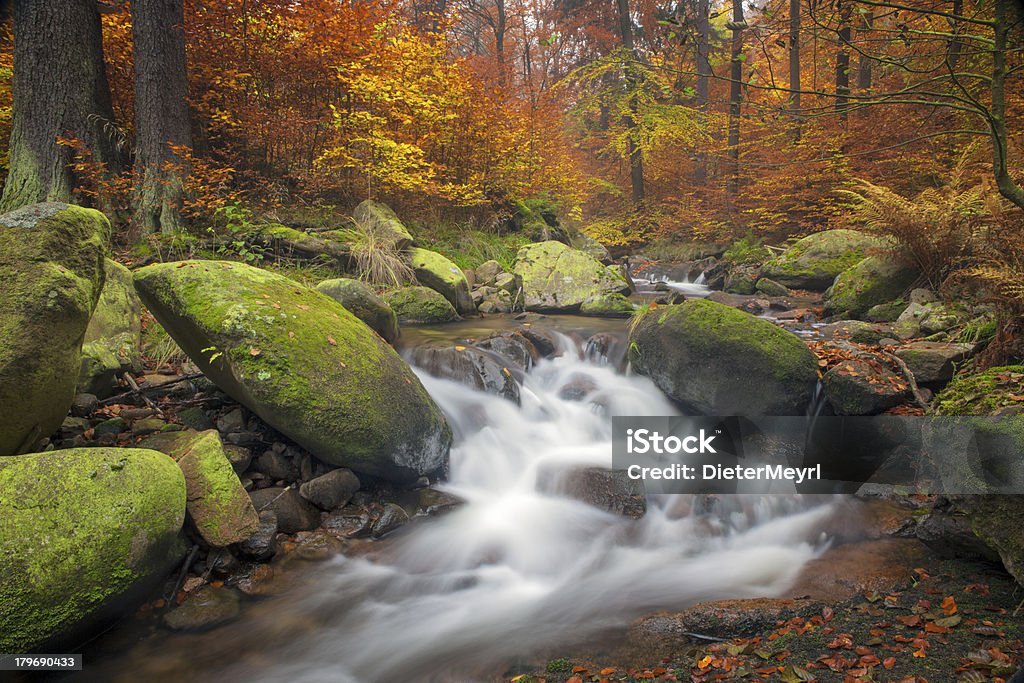 Cachoeira no belo cenário de outono - Foto de stock de Cor Vibrante royalty-free