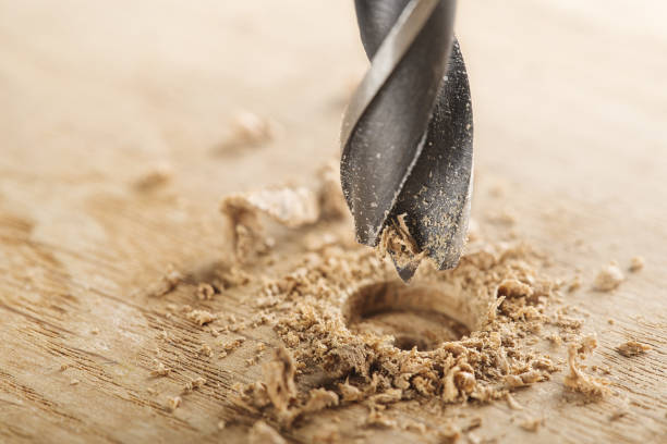 istock drill bit makes hole in wooden oak board for wooden dowel. 1796928736