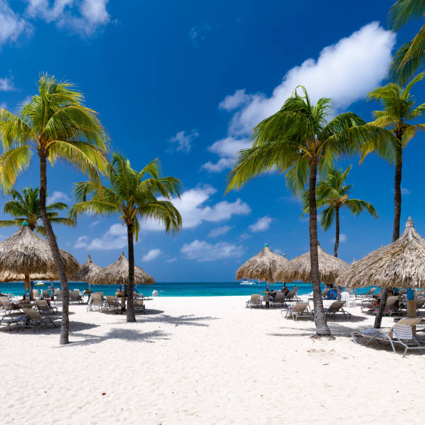 beach paradise of the Caribbean \