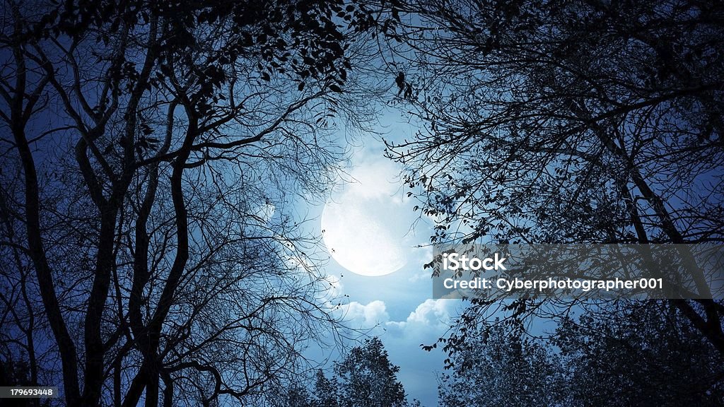 blue foreest Moon light increasing the beauty of forest. Beauty Stock Photo