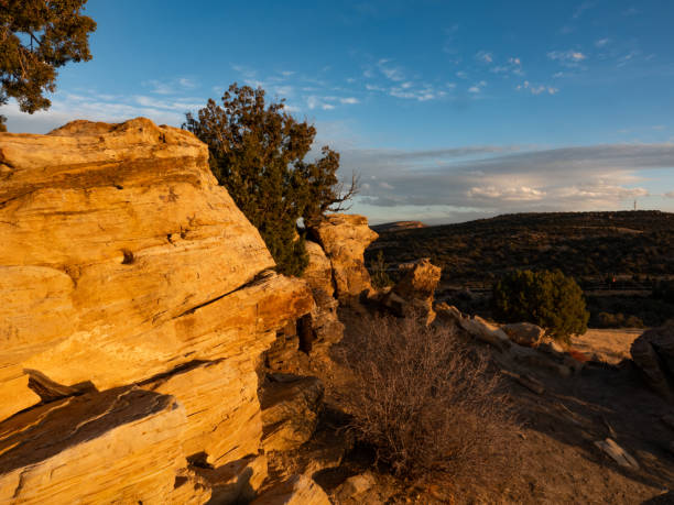 istock Juniper trees and sandstone in a Utah desert sunset. 1796951813