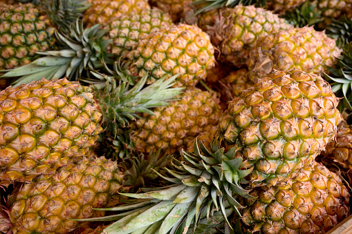 Amount of fresh ripe pineapple fruit for sell in a traditional market in Taiwan. 
Tasted and fresh pineapple as a background. Summer fruit.
