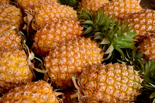 Amount of fresh ripe pineapple fruit for sell in a traditional market in Taiwan. \nTasted and fresh pineapple as a background. Summer fruit.