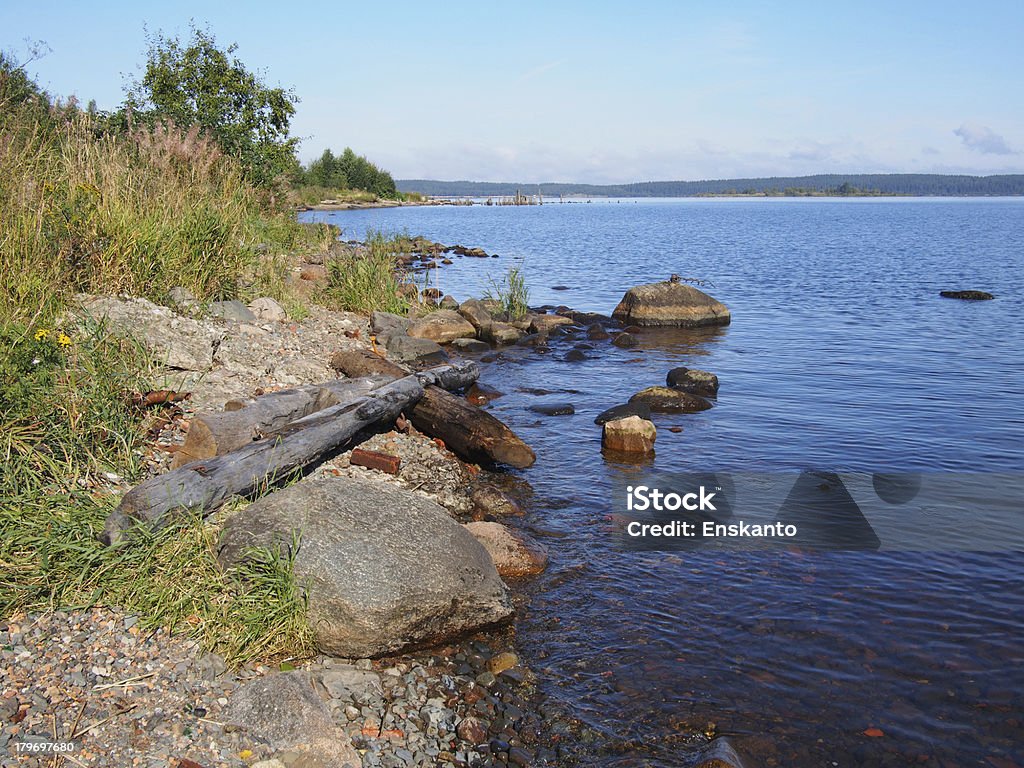 El lakeshore - Foto de stock de Agua libre de derechos