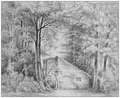 Antique image of Hampden County, Massachusetts: Springfield, Hut in Blake's Woods