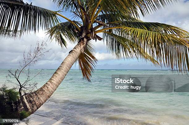 Photo libre de droit de Plage Paysage Tropical banque d'images et plus d'images libres de droit de Nosy Be - Nosy Be, Afrique, Arbre