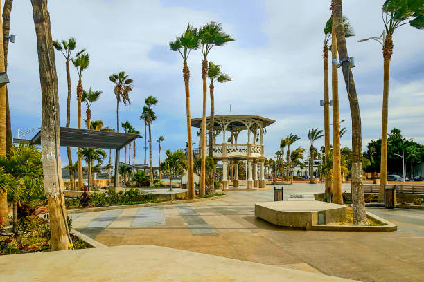 istock Panoramic view of promenade or malecon with its kiosk and palm trees 1797010423