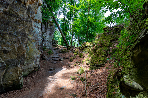 Rocky landscape, trail between slopes of moss-covered rock formations, abundant trees in background, Teufelsschlucht nature reserve, sunlight streaming through foliage, sunny day in Irrel, Germany