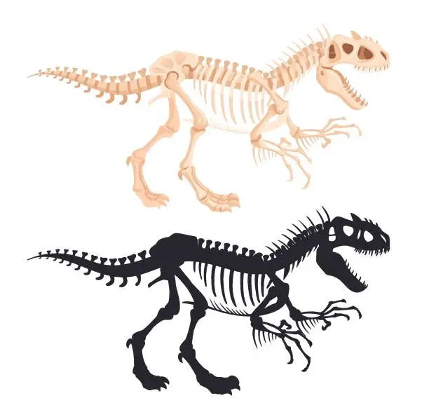 Vector illustration of Dino skeleton silhouettes. Predator raptor fossil bones, ancient dinosaur silhouette flat vector illustration set. Jurassic reptile skeleton