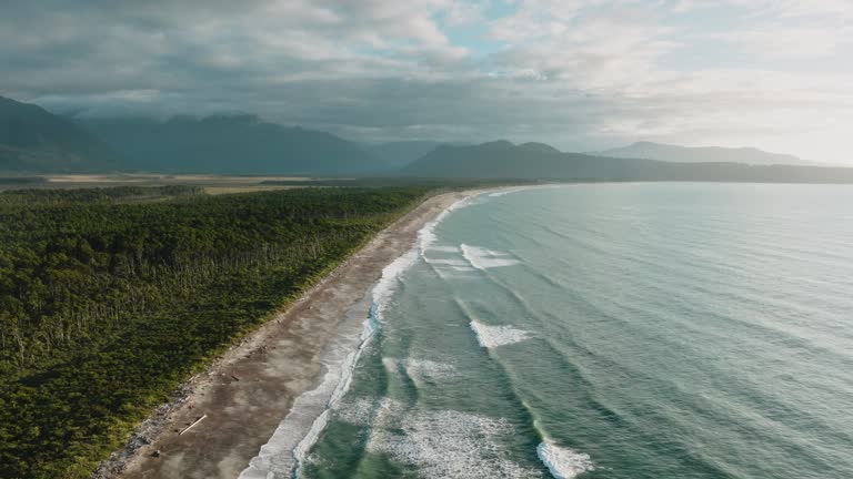 Stunning aerial view of dramatic coastal landscape with Tasman Sea, remote sandy beach and tree covered landscape in wilderness of Bruce Bay, South Westland, New Zealand Aotearoa