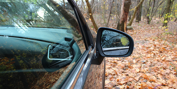 Stock Photo Of Car Mirror With Sticked Leaf