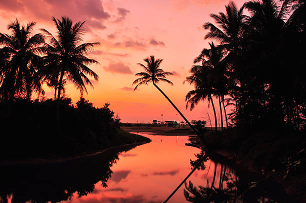 istock Silhouettes of coconut trees in the evening. 179708416