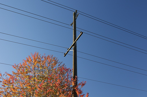Power lines extend over a residential neighbourhood lined with trees. Autumn colours in Metro Vancouver.