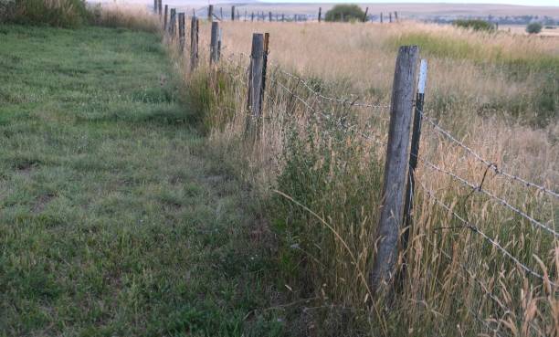 istock Rustic wood pole and wire fence 1797090729
