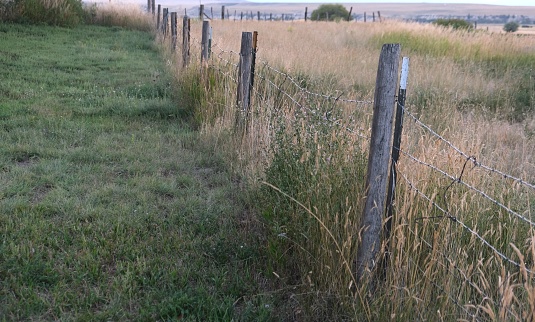 Rustic weathered wood pole and wire fence on a countryside property line surrounded by green pasture and a variety of brown grasses.  Background of low hills on the horizon.