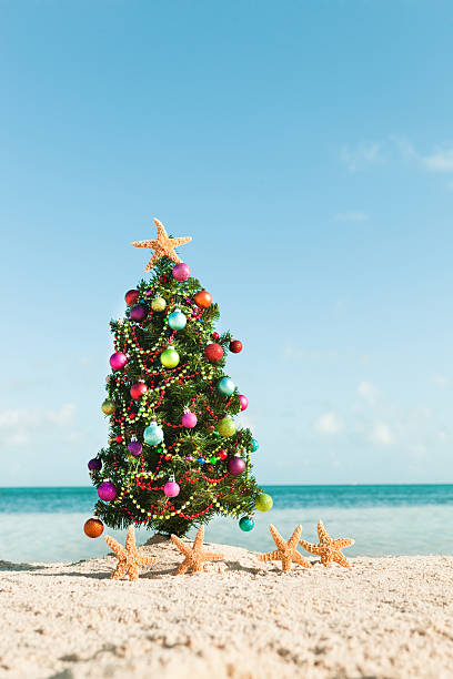 istock Starfish Christmas Vacation in Tropical Beach  Paradise 179709188
