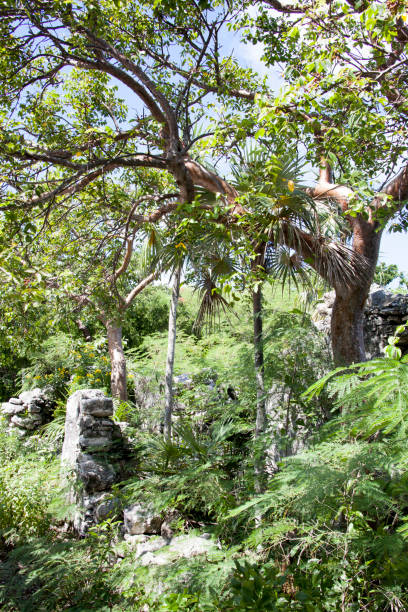 istock Little Stirrup Cay Ruins In A Jungle 1797097726