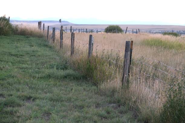 istock Rustic wood pole and wire fence 1797099353