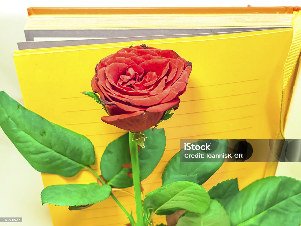 Rose agentes de reserva - Foto de stock de Agenda royalty-free