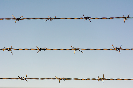 A barbed wire fence with a pale blue sky background, three barbed wires stretching horizontally across the image, with sunlight highlighting the wires.