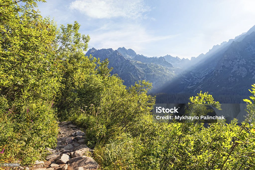 Blick von hohen Tatra-Gebirge von Wandertouren. - Lizenzfrei Anhöhe Stock-Foto