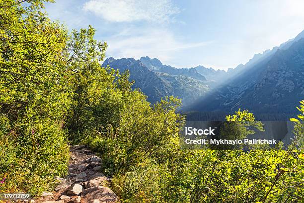 Blick Von Hohen Tatragebirge Von Wandertouren Stockfoto und mehr Bilder von Anhöhe - Anhöhe, Baum, Berg