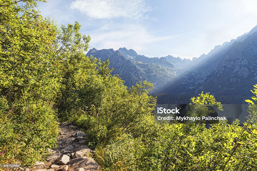 Vista de altas Montanhas de Tatra de caminhada percursos de terra. - Royalty-free Ao Ar Livre Foto de stock