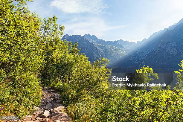 Vista De Altas Montanhas De Tatra De Caminhada Percursos De Terra - Fotografias de stock e mais imagens de Ao Ar Livre