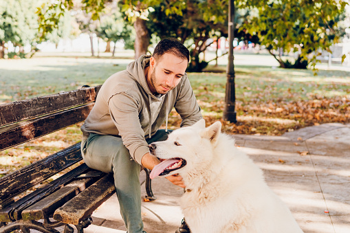 Man petting his Akita dog