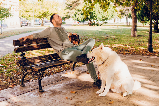 Man enjoy with dog in park.