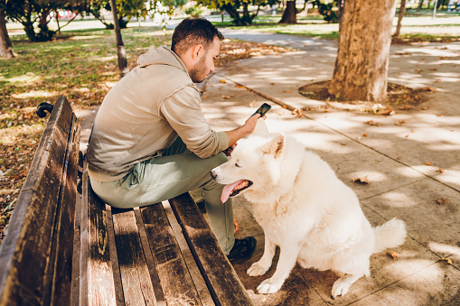 Man using phone and enjoying with dog in park