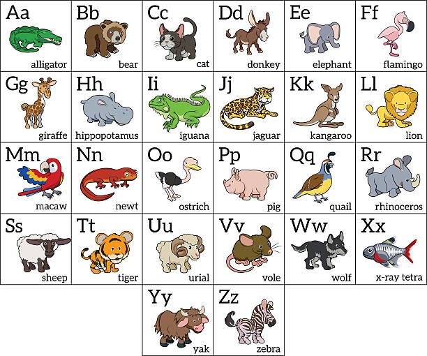 Cartoon Animal Alphabet Chart Stock Illustration - Download Image Now -  Classroom, Alphabet, Chart - iStock
