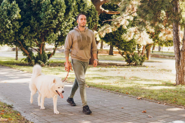 istock Young man walking his dog in a park 1797160986