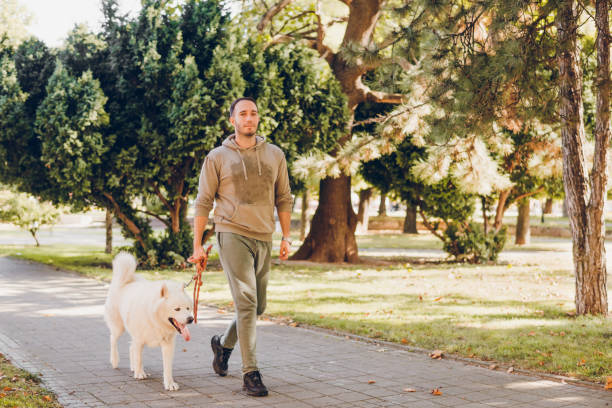 istock Young man walking his dog in a park 1797161001