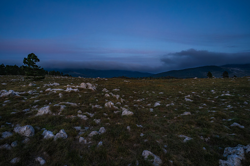 Atmospheric evening on a meadow in the Croatian mountains in late summer.