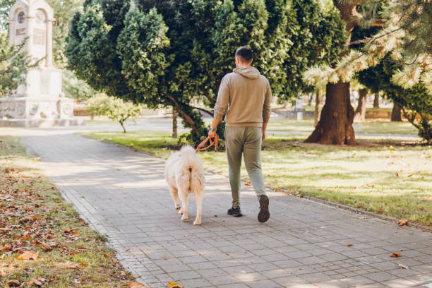 istock Young man walking his dog in a park 1797161537
