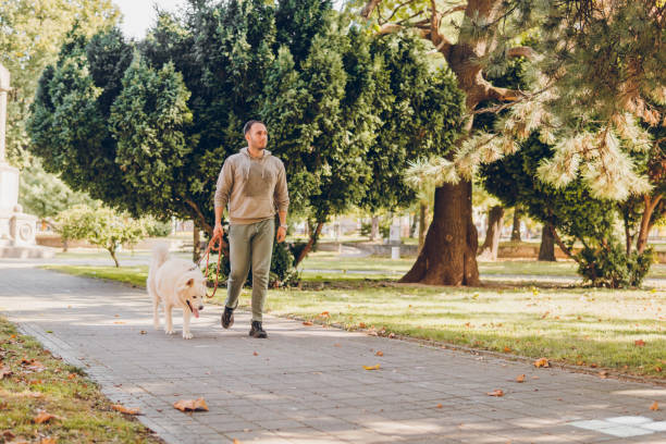 istock Young man walking his dog in a park 1797162071