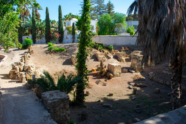 istock Panoramic view of ancient ruins with thermal baths, archaeological site in Carthage. Tunis, Tunisia 1797196276
