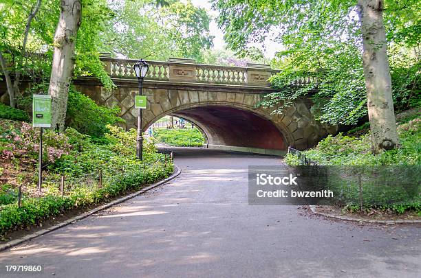 Central Park Di New York - Fotografie stock e altre immagini di Albero - Albero, Ambientazione esterna, Architettura