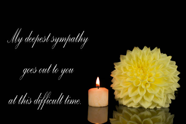istock beautiful dahlia flowers isolated on a background 1797225549