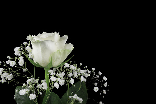 A bouquet of bright and colorful flowers on dark background