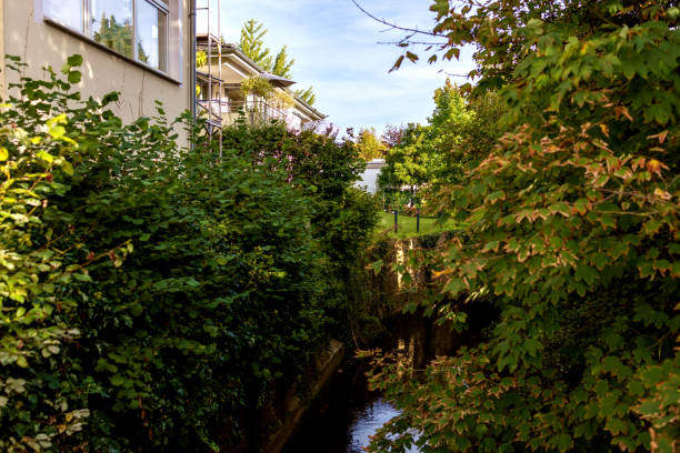 istock River in the city with trees 1797231936