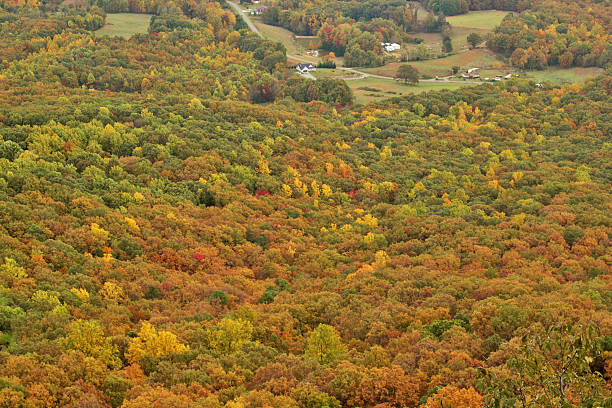 istock Autum scenery in the mountains 179723595