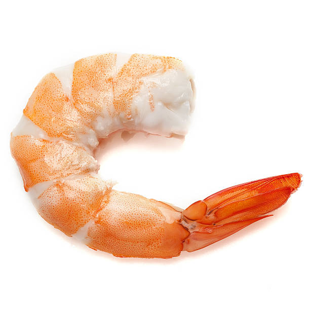 istock Close up shrimp isolated on white background 179724197