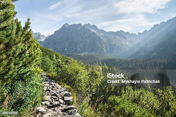 Photo libre de droit de Vue De Haut Des Montagnes De Tatra De Randonnée banque d'images et plus d'images libres de droit de Arbre - Arbre, Bois, Caillou