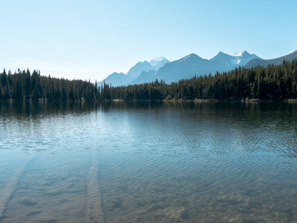 Lake Herbert in Alberta, Canada with reflections of the forest and mountain range.
